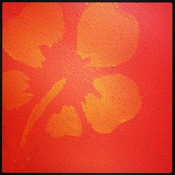 Photo taken at Trader Joe's by schneidermike s. on 3/16/2013