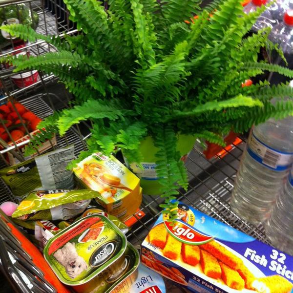 Photo taken at Colruyt by Sophie V. on 10/17/2014