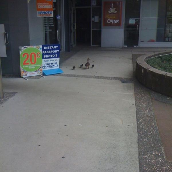 Photo taken at Countdown by Yeeling on 8/24/2011