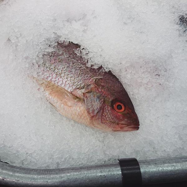 Photo taken at Whole Foods Market by Cameron C. on 3/22/2015