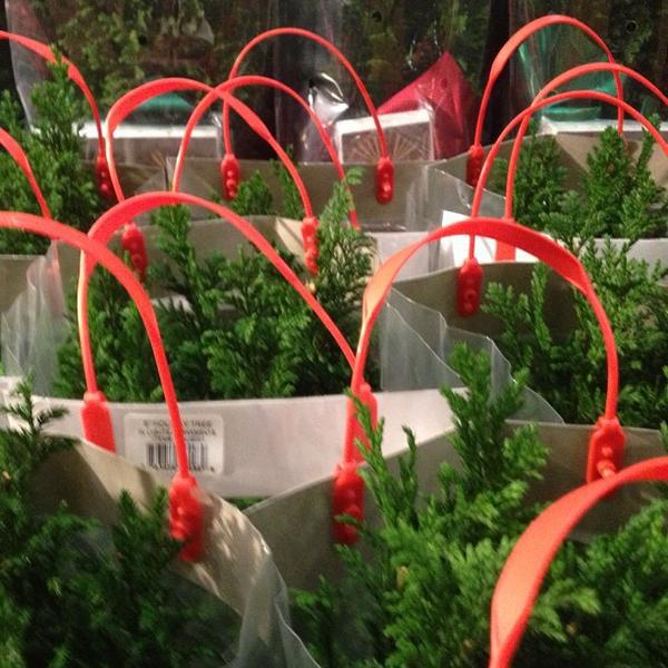 Photo taken at Whole Foods Market by Jeff C. on 11/27/2012