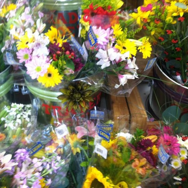 Photo taken at Trader Joe's by Frankie F. on 8/20/2012