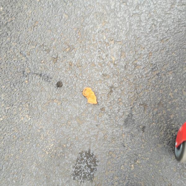 Photo taken at Trader Joe's by Rich D. on 12/31/2014