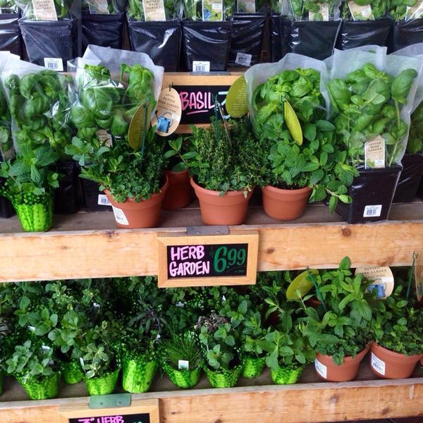 Photo taken at Trader Joe's by Crystal W. on 3/3/2014