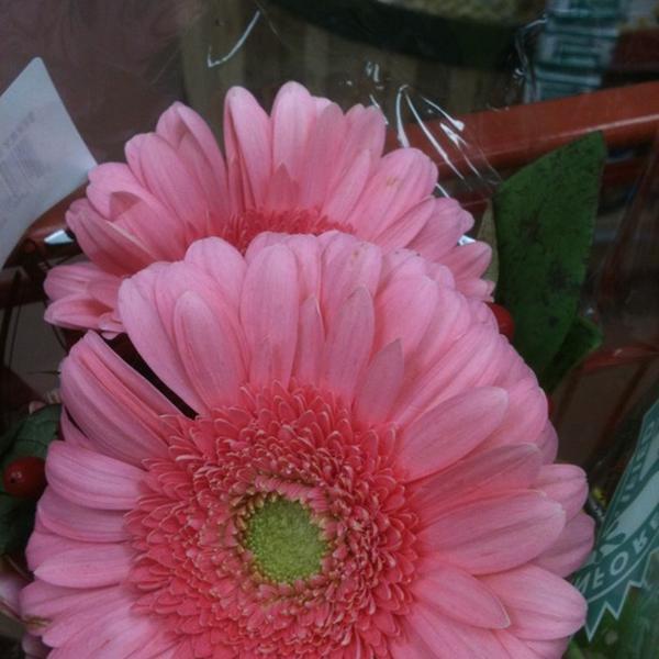 Photo taken at Trader Joe's by Kathy M. on 3/3/2012