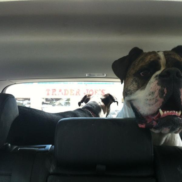 Photo taken at Trader Joe's by Kelli N. on 6/30/2012