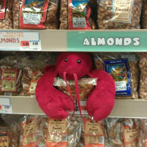 Photo taken at Trader Joe's by Heather G. on 5/20/2012