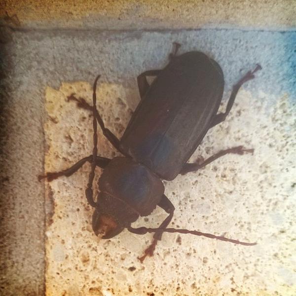 Photo taken at Publix Super Market at Northshore Town Center by Timothy F. on 7/15/2014-美国田纳西州诺克斯维尔镇中心大道2010 Photo taken at Publix Super Market at Northshore Town Center by Timothy F. on 7/15/2014