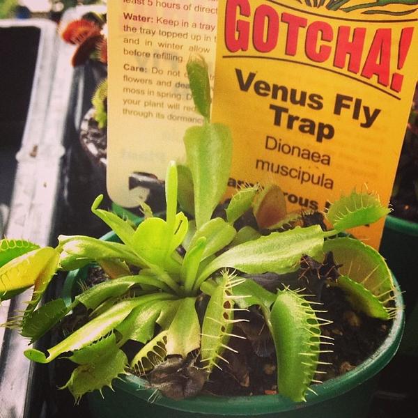 Photo taken at Big W by Joshua B. on 4/26/2014