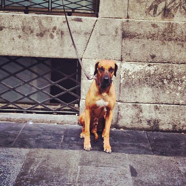 Photo taken at El Corte Inglés by Shlufman M. on 11/1/2012