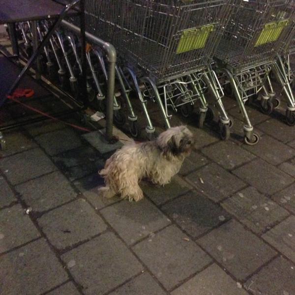 Photo taken at PLUS by Sophie T. on 2/26/2013