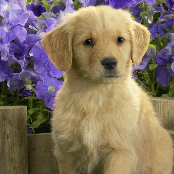 Photo taken at Coop by KETTY B. on 5/11/2012