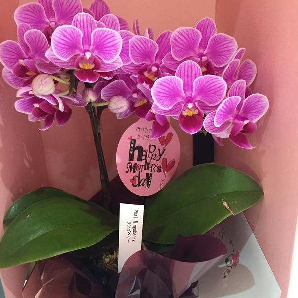 Photo taken at イオンモール筑紫野 by ace-k m. on 5/7/2015