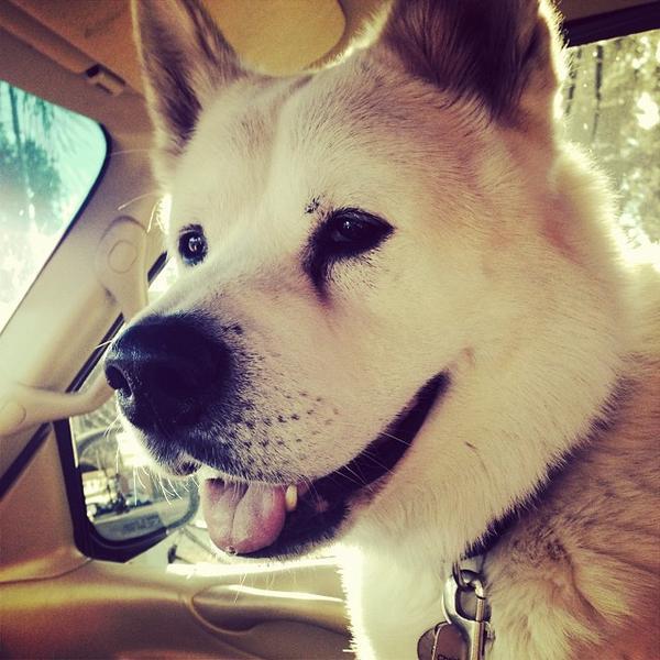 Photo taken at Whole Foods Market by Mike O. on 1/14/2014