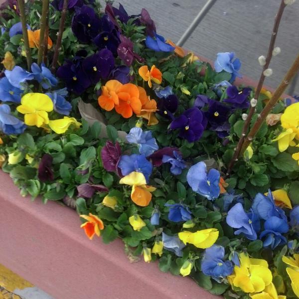 Photo taken at Whole Foods Market by Mary M. on 5/14/2013-美国伊利诺斯州芝加哥科技教育107运河南街1101 Photo taken at Whole Foods Market by Mary M. on 5/14/2013