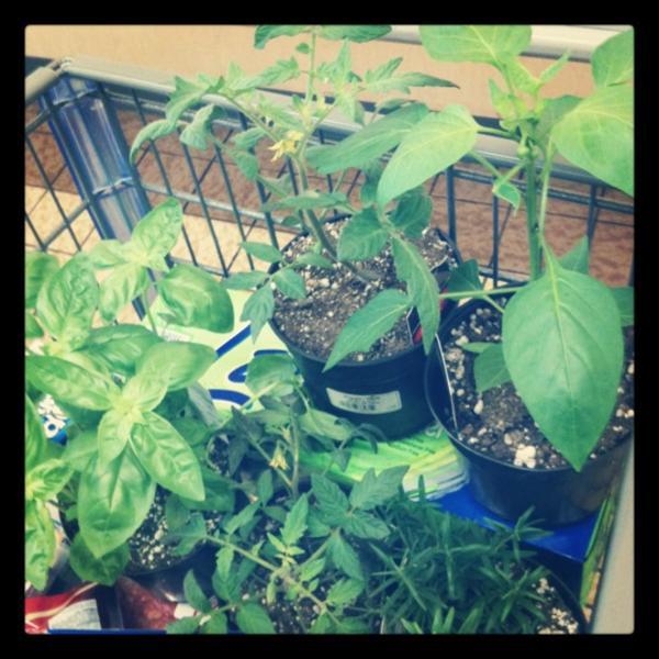 Photo taken at ALDI by Katherine B. on 5/15/2012-俄亥俄 锦绣花园中心岭路21329 Photo taken at ALDI by Katherine B. on 5/15/2012