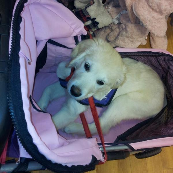 Photo taken at Tesco by Sam A. on 12/16/2012