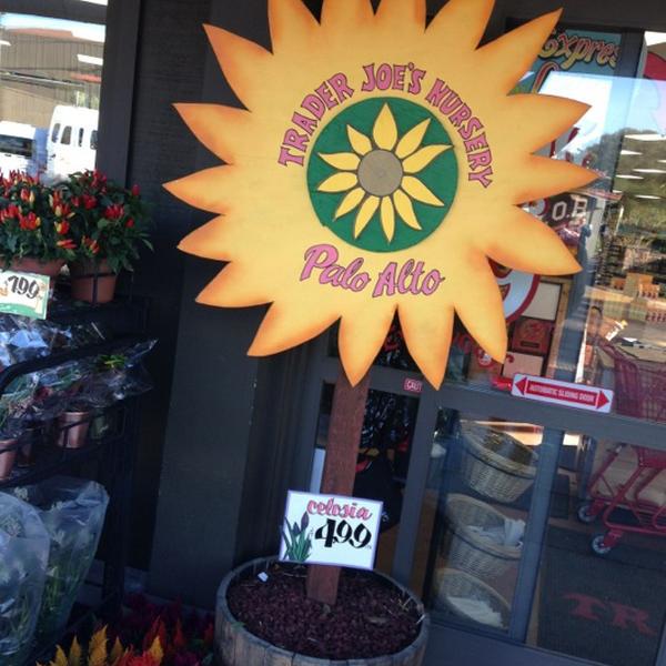 Photo taken at Trader Joe's by Slobodan M. on 11/3/2012