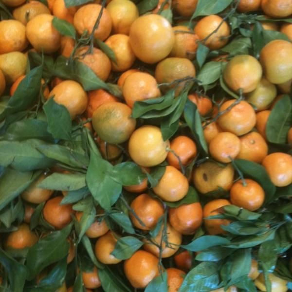 Photo taken at Whole Foods Market by Michelle V. on 11/27/2012-加尼福尼亚 恩西尼塔斯海岸公路101S687(W E圣& W F街间) Photo taken at Whole Foods Market by Michelle V. on 11/27/2012