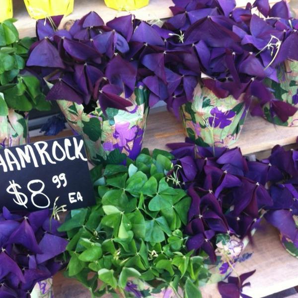 Photo taken at Whole Foods Market by LiveFit F. on 3/18/2012-加尼福尼亚 恩西尼塔斯海岸公路101S687(W E圣& W F街间) Photo taken at Whole Foods Market by LiveFit F. on 3/18/2012