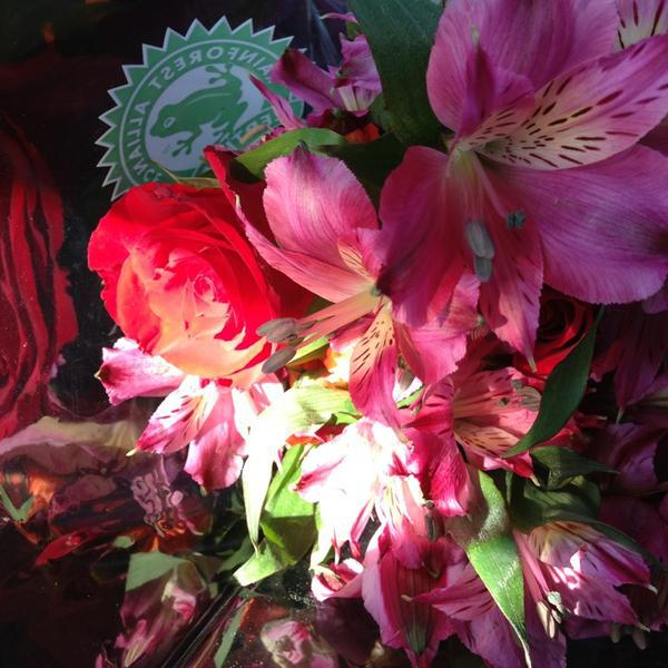 Photo taken at Trader Joe's by Shelly W. on 7/18/2013