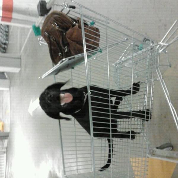 Photo taken at Mercadona by Belen S. on 3/22/2012