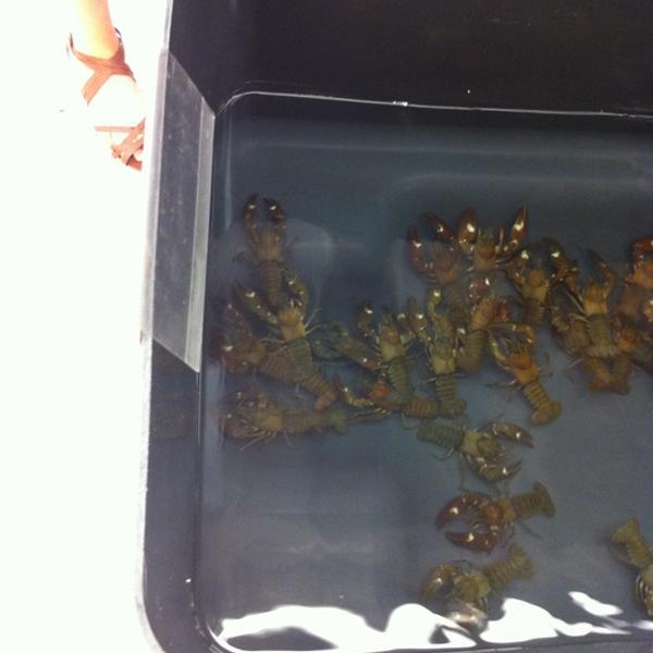 Photo taken at K-Citymarket by Anna L. on 8/6/2012-皮尔卡区马克斯棕榈罗斯路2 Photo taken at K-Citymarket by Anna L. on 8/6/2012