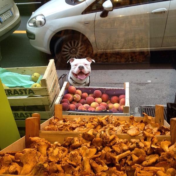 Photo taken at Interspar by Rob on 7/11/2014