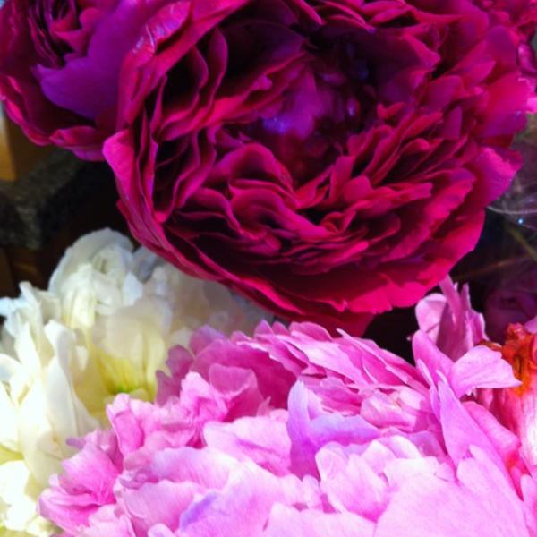 Photo taken at Whole Foods Market by Goga on 6/10/2012