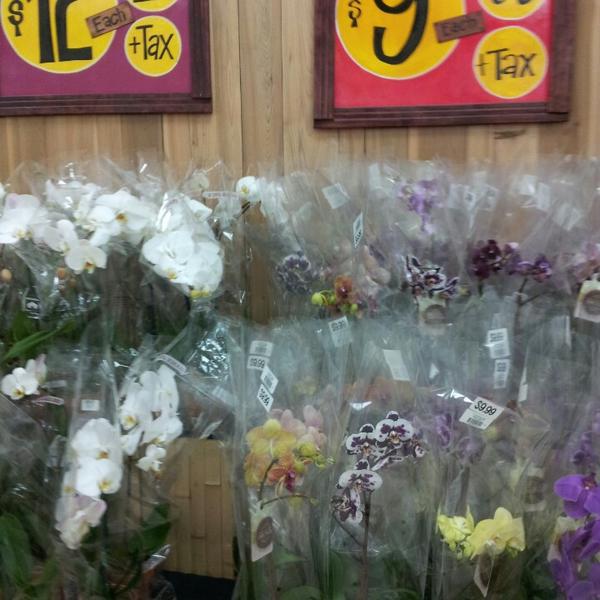 Photo taken at Trader Joe's by Michelle S. on 5/17/2013