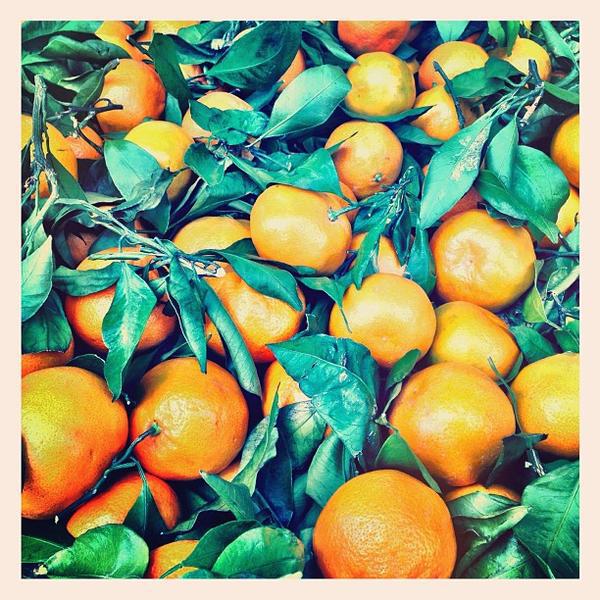 Photo taken at Whole Foods Market by Shana R. on 11/11/2012-加尼福尼亚圣罗莎 城市 康涅狄格R390(在盖尔南韦尔路) Photo taken at Whole Foods Market by Shana R. on 11/11/2012