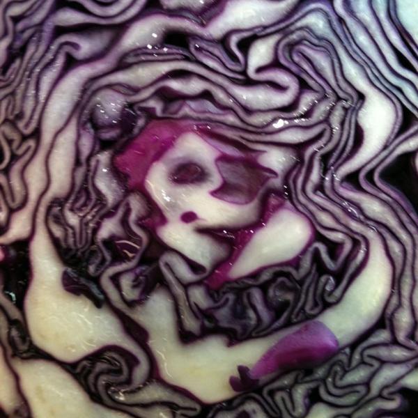 Photo taken at Whole Foods Market by Matthew M. on 9/3/2012-加尼福尼亚圣罗莎 城市 康涅狄格R390(在盖尔南韦尔路) Photo taken at Whole Foods Market by Matthew M. on 9/3/2012