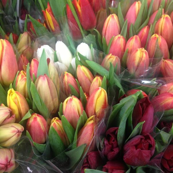 Photo taken at Trader Joe's by Lisa A. on 2/2/2013-美国伊利诺斯州橡树园哈林大道北483 Photo taken at Trader Joe's by Lisa A. on 2/2/2013