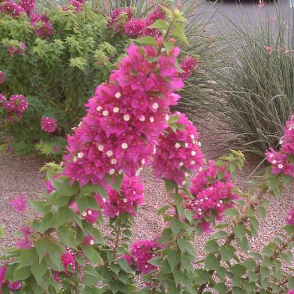 Photo taken at Trader Joe's by Lisa B. on 10/1/2011