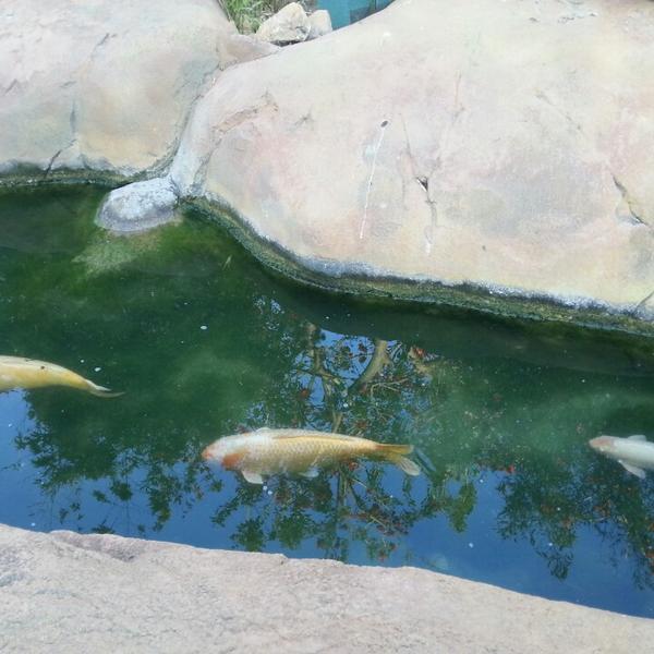 Photo taken at Mercadona by Merche R. on 7/5/2013