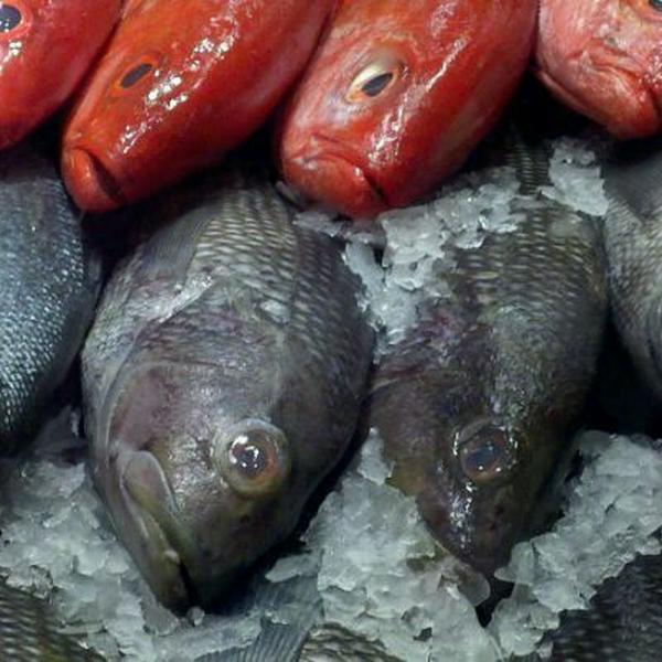 Photo taken at Whole Foods Market by Karen S. on 6/12/2011