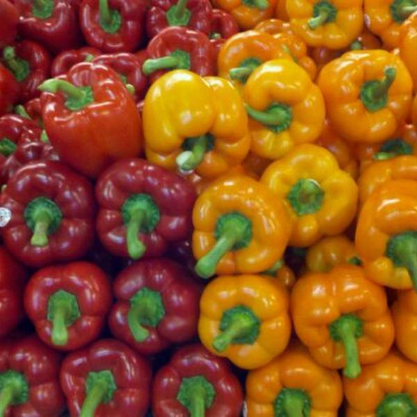 Photo taken at Whole Foods Market by Karen S. on 6/12/2011