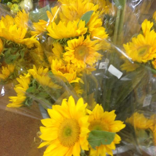 Photo taken at Trader Joe's by Cheryl L. on 3/29/2013