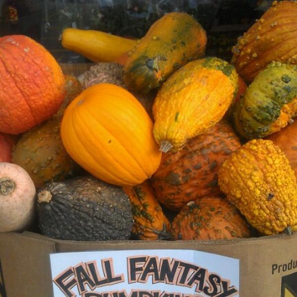 Photo taken at Trader Joe's by Lisa P. on 10/26/2012