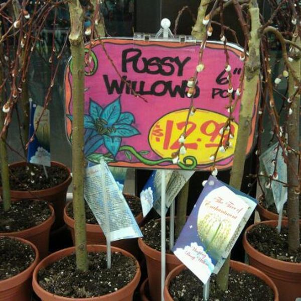 Photo taken at Trader Joe's by Sharon R. on 3/7/2012