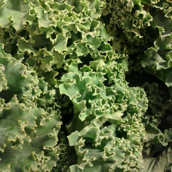 Photo taken at Whole Foods Market by philip n. on 10/22/2011