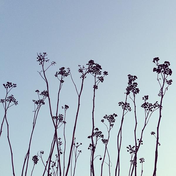 Photo taken at Albert Heijn by marianne h. on 1/22/2013