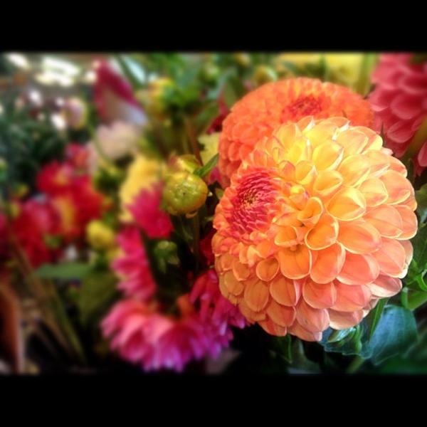 Photo taken at Whole Foods Market by Kate K. on 8/29/2012