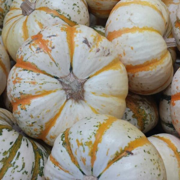 Photo taken at Trader Joe's by Kim S. on 10/12/2013