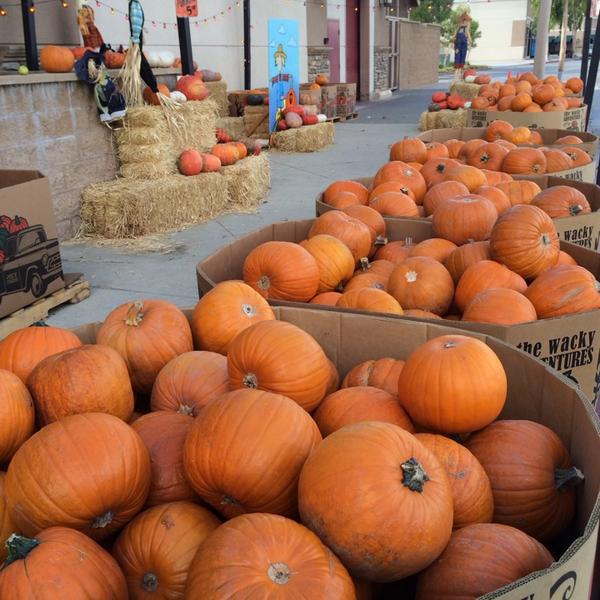 Photo taken at Trader Joe's by Julian G. on 10/28/2013-加利福尼亚州科罗纳卡波特大街2790号 Photo taken at Trader Joe's by Julian G. on 10/28/2013