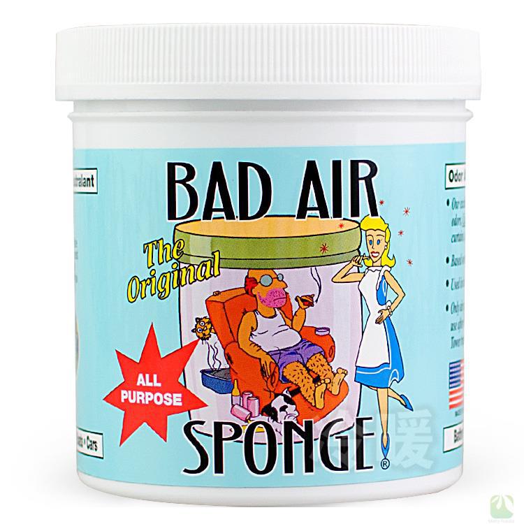 Bad Air Sponge 美国蓓洁 白宫御用空气净化剂 新房新车异味甲醛清除剂 450g