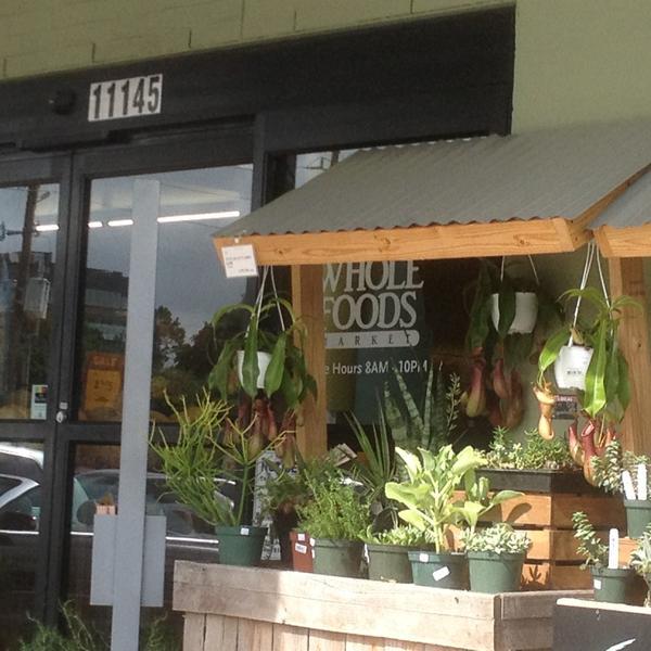 Photo taken at Whole Foods Market by Wren B. on 6/18/2013-美国得克萨斯州休斯敦韦斯特海默路11445 Photo taken at Whole Foods Market by Wren B. on 6/18/2013