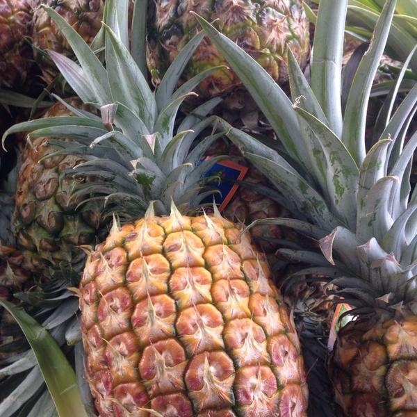 Photo taken at Trader Joe's by Magrelacanela D. on 2/9/2014-加尼福尼亚 普莱森顿皮姆利科街道4040#150(在圣丽塔路) Photo taken at Trader Joe's by Magrelacanela D. on 2/9/2014