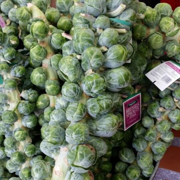 Photo taken at Trader Joe's by Steve S. on 9/6/2014