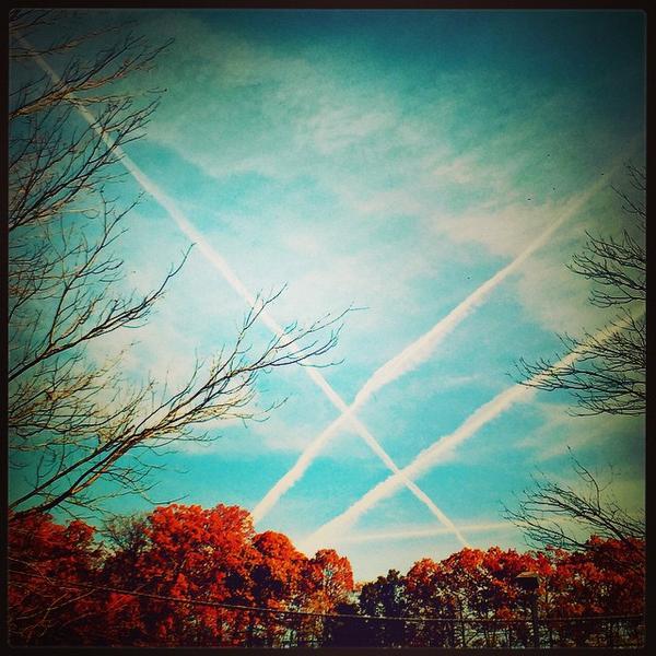 Photo taken at Trader Joe's by Claudia W. on 11/8/2014